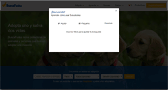 Desktop Screenshot of buscafuska.com