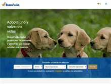 Tablet Screenshot of buscafuska.com